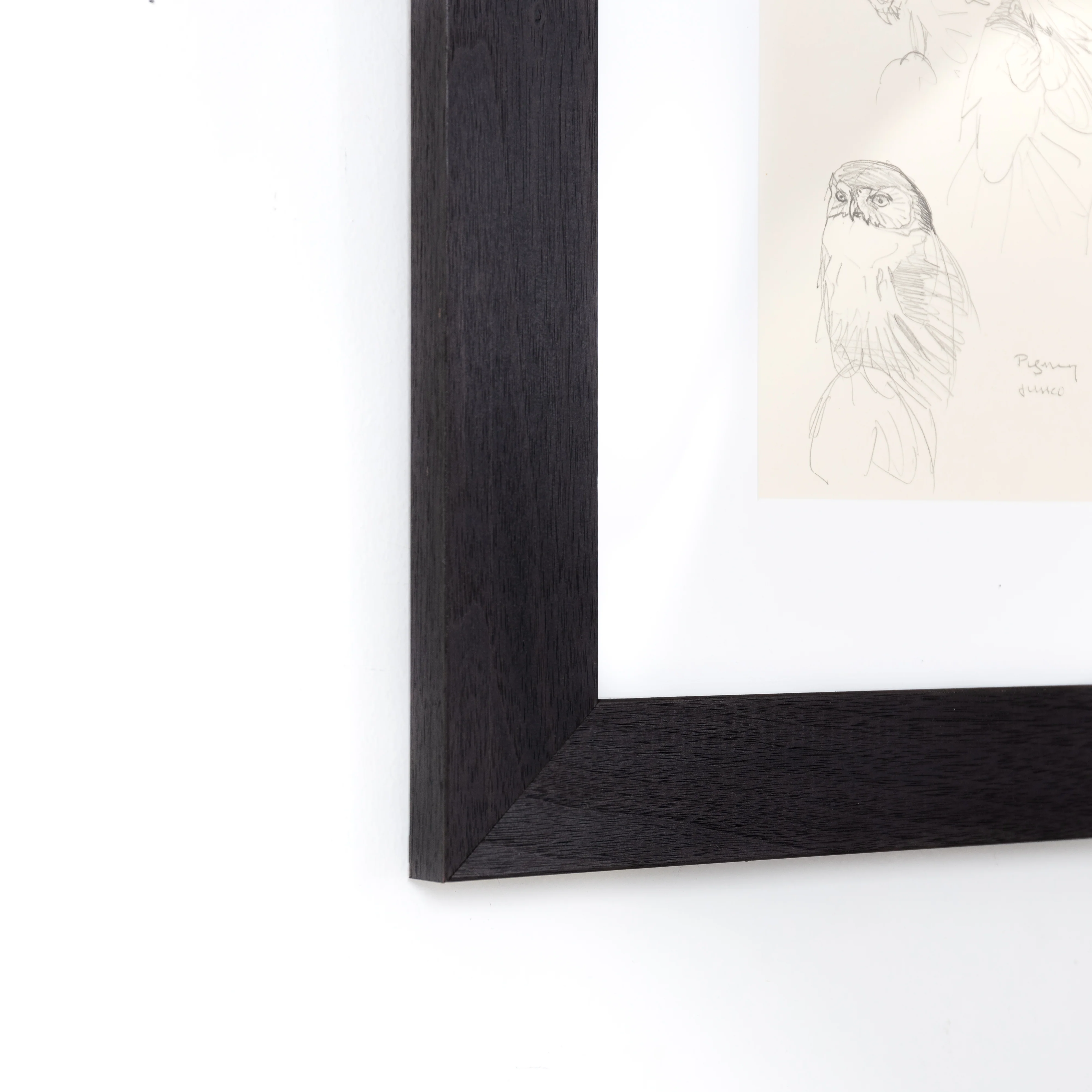 Black Walnut Wide - Image 3